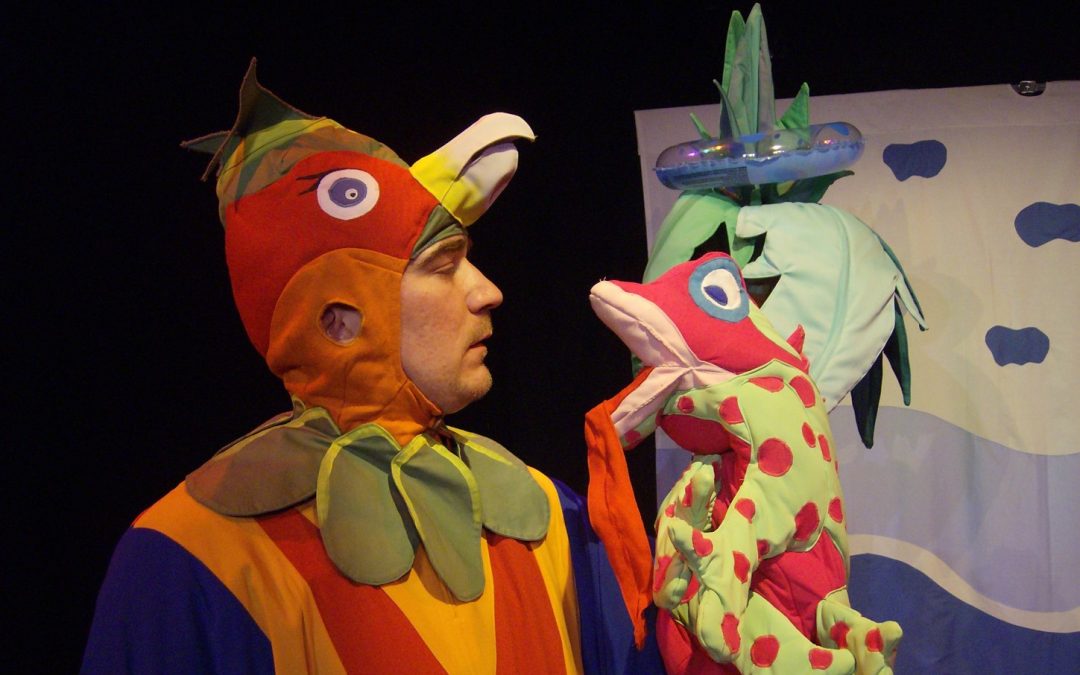 PAPATITO, le perroquet de l’île